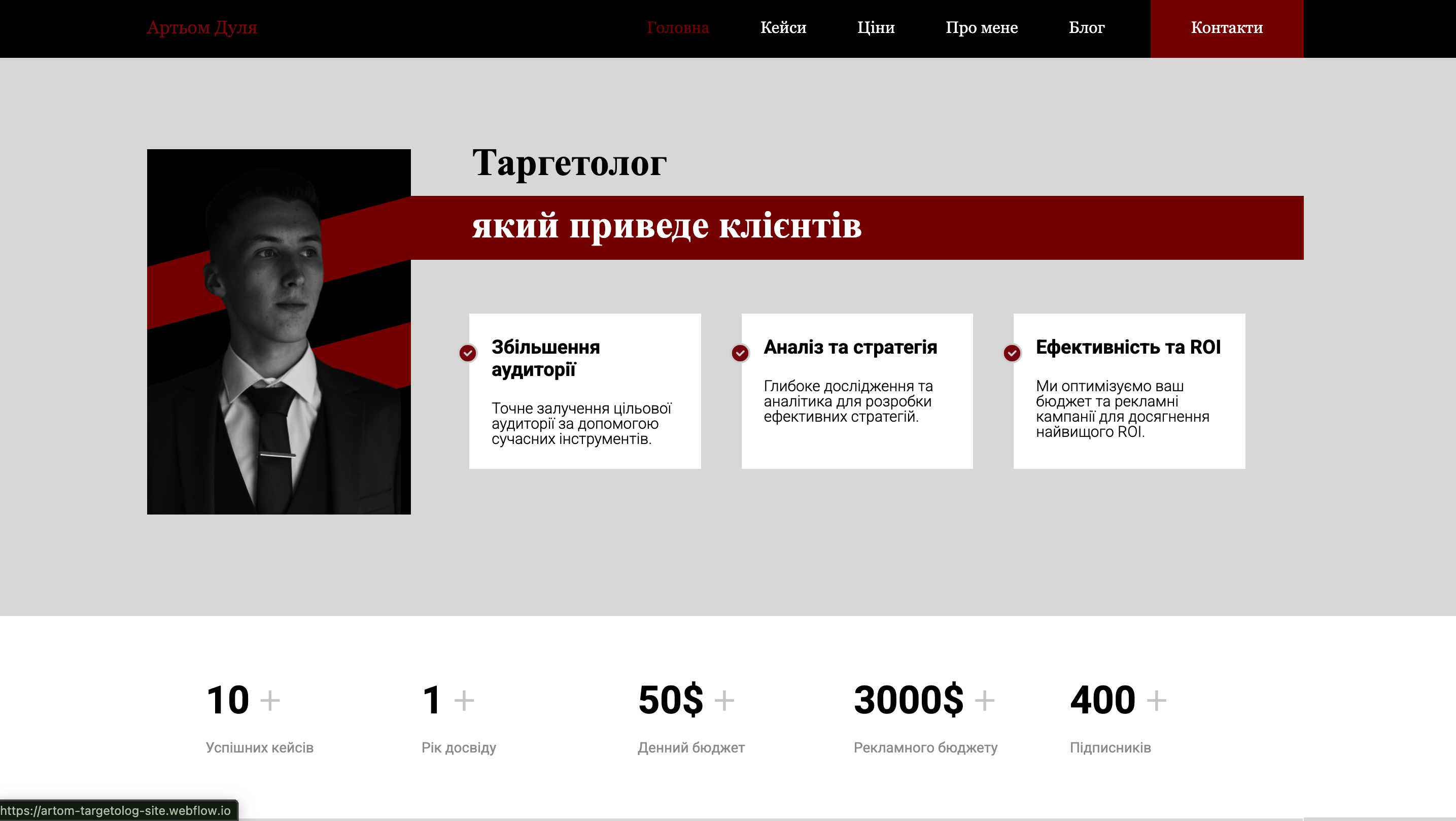 Targetolog Landing background